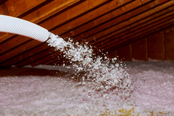 Best Spray Foam Insulation in French Island, WI