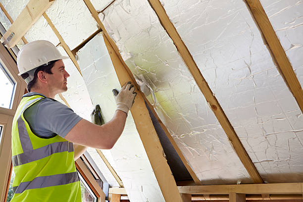 Best Eco-Friendly Insulation in French Island, WI
