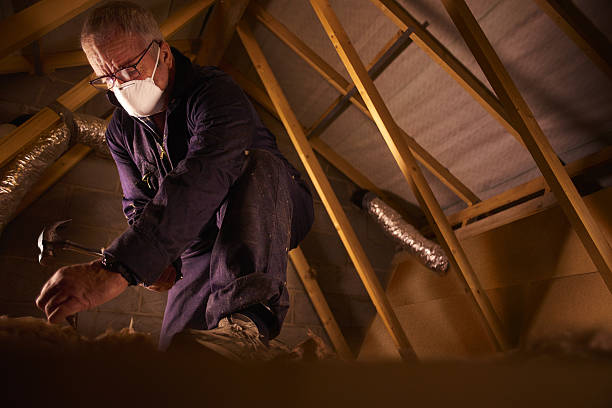 Professional Insulation Contractor in French Island, WI