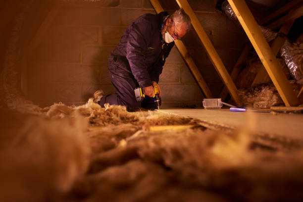 Best Cellulose Insulation in French Island, WI