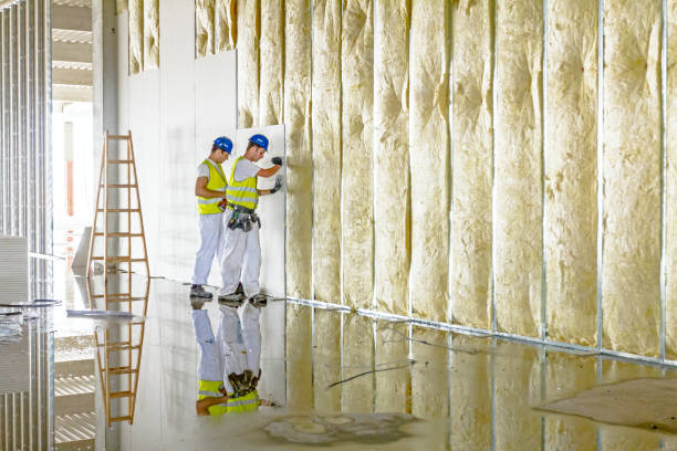Best Insulation Maintenance and Repair in French Island, WI